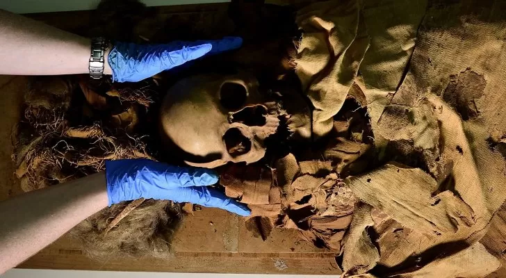 مدار الساعة,أخبار خفيفة ومنوعة