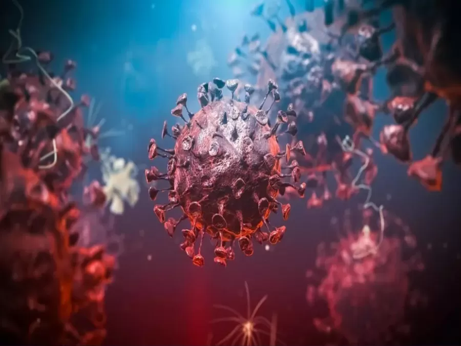 مدار الساعة,أخبار عربية ودولية,كورونا,رئيس الوزراء