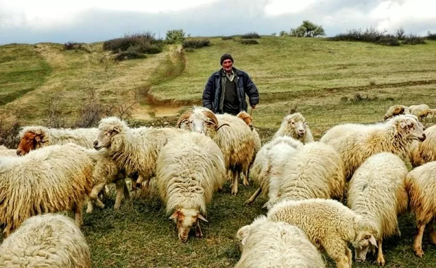 مدار الساعة,أخبار الأردن,اخبار الاردن,وزير الزراعة