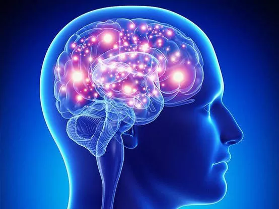 مدار الساعة,أخبار ثقافية