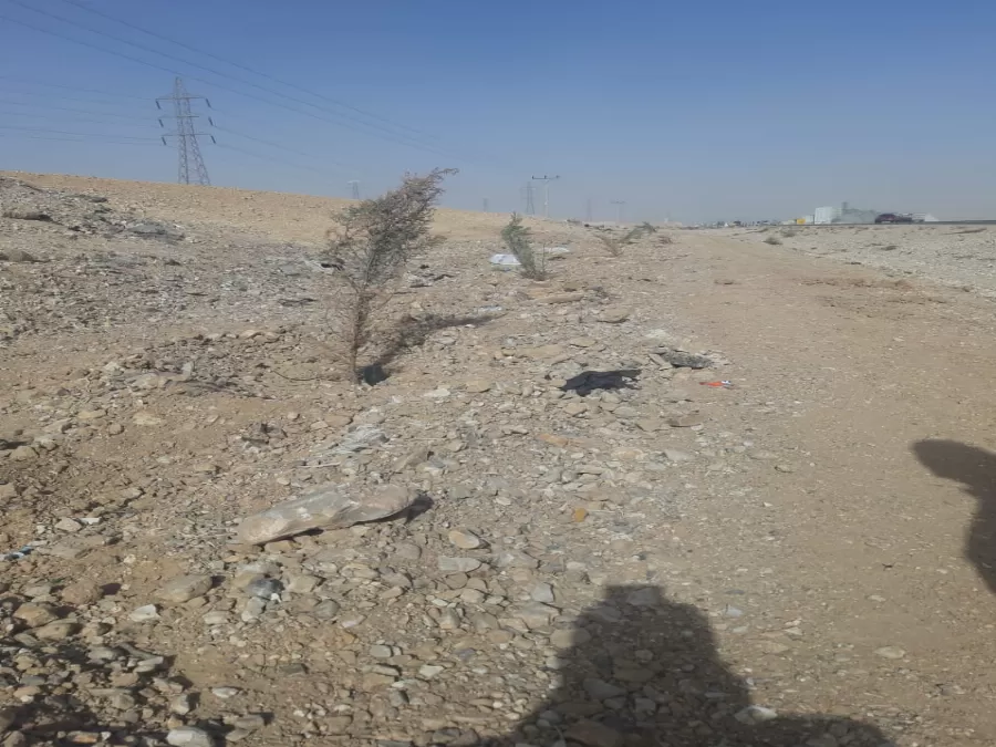 مدار الساعة,أخبار الأردن,اخبار الاردن,وزارة الزراعة