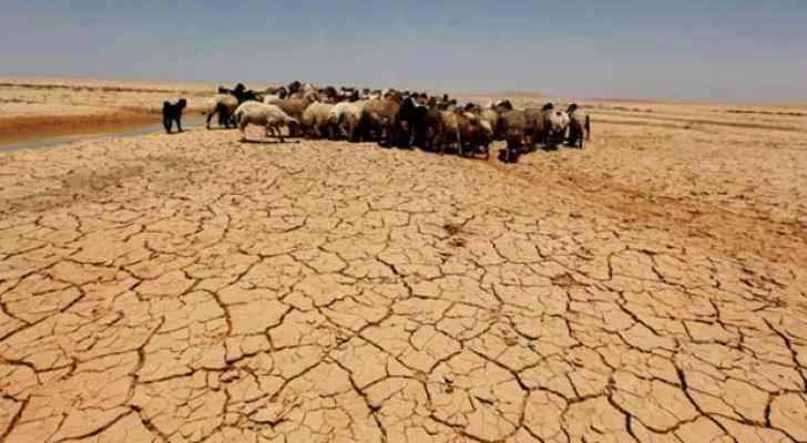 مدار الساعة,أخبار الأردن,اخبار الاردن,المملكة الأردنية الهاشمية,الملك عبد الله الثاني,وزارة الزراعة,وزارة المياه والري,وزارة البيئة,وزارة المياه