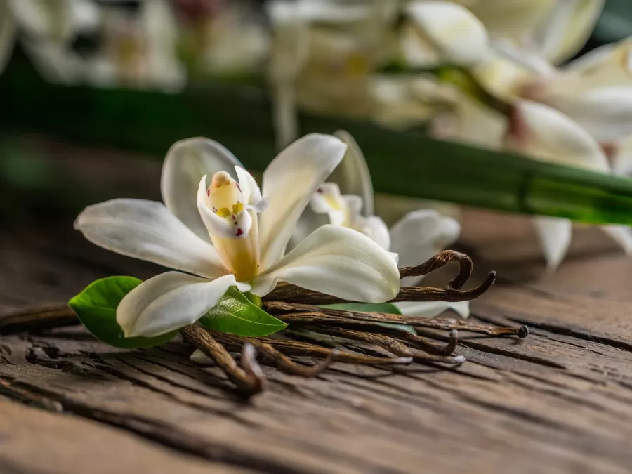 مدار الساعة,أخبار ثقافية