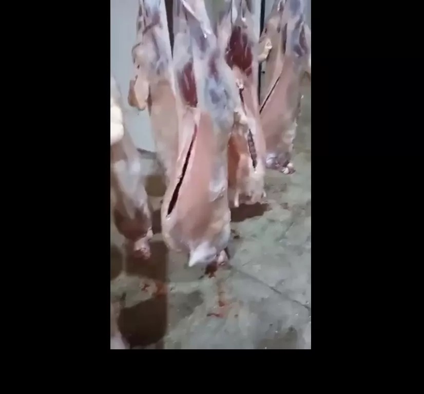 مدار الساعة,Video,فيديو,أخبار الأردن,اخبار الاردن,وزارة الزراعة,وكالة الأنباء الأردنية,وسائل التواصل الاجتماعي