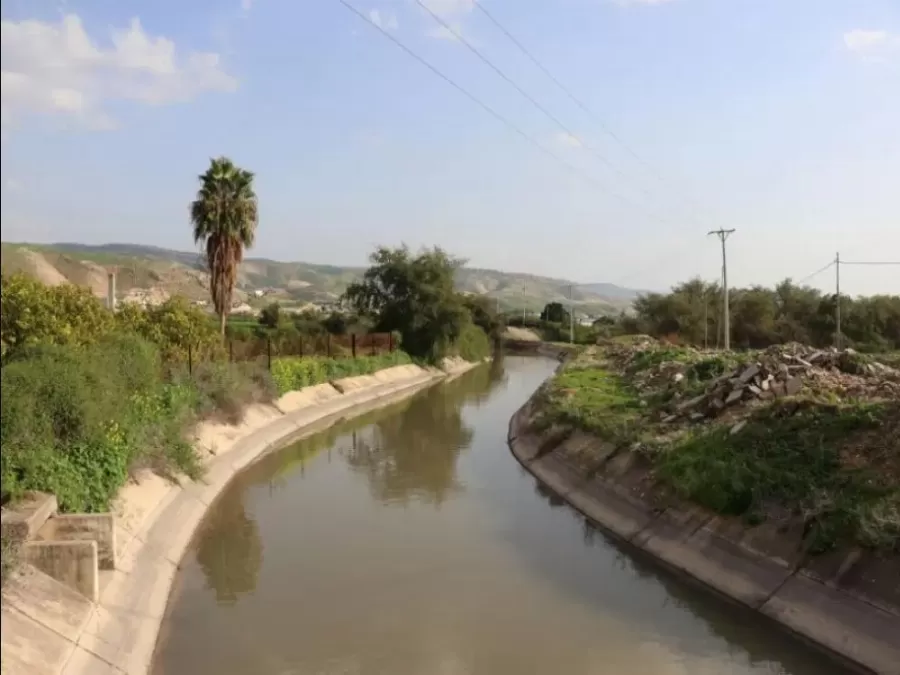 مدار الساعة,أخبار الأردن,اخبار الاردن,سلطة وادي الأردن,وادي الأردن