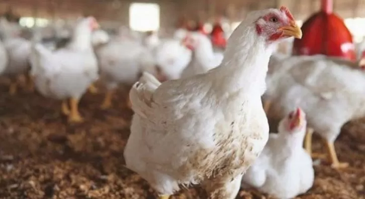 مدار الساعة,أخبار خفيفة ومنوعة,درجات الحرارة