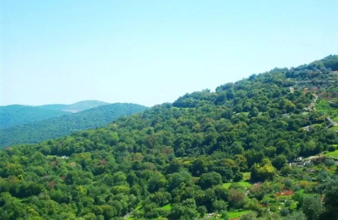 مدار الساعة,أخبار الأردن,اخبار الاردن,وزير الزراعة,وزير البيئة,وزارة الزراعة