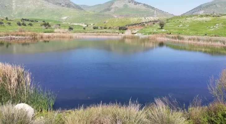 مدار الساعة,أخبار الأردن,اخبار الاردن,وزير البيئة,كورونا,وزارة البيئة