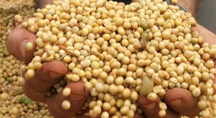 مدار الساعة,أخبار الأردن,اخبار الاردن,وزير الزراعة