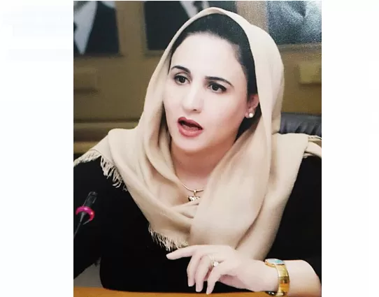 مدار الساعة,مقالات مختارة,مجلس النواب,الانتخابات النيابية,صحيفة الدستور