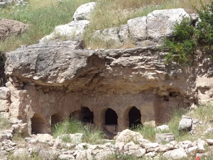 مدار الساعة,أخبار الأردن,اخبار الاردن,مواقع التواصل الاجتماعي