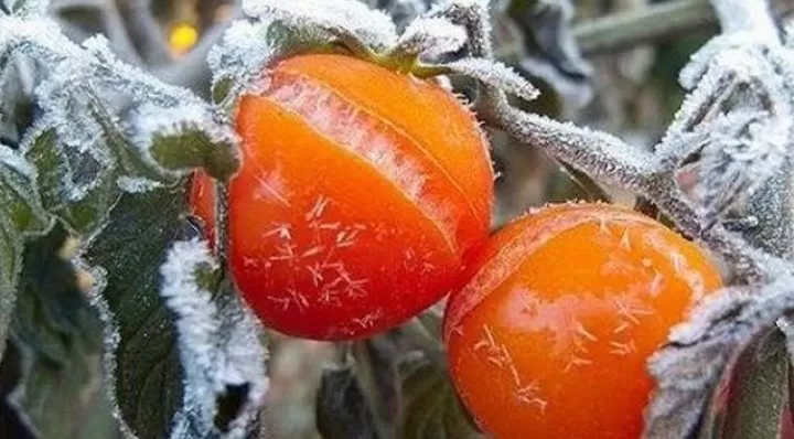 مدار الساعة,أخبار الأردن,اخبار الاردن,وادي الأردن,درجات الحرارة