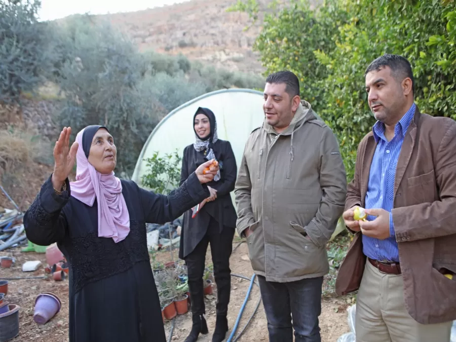 مدار الساعة,مناسبات أردنية