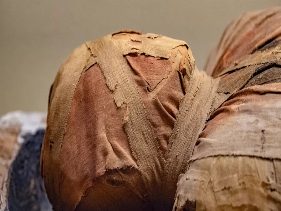 مدار الساعة,أخبار ثقافية,مواقع التواصل الاجتماعي