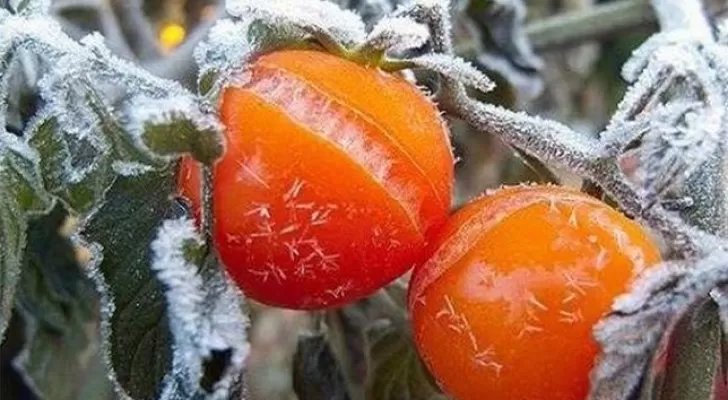 مدار الساعة,أخبار الأردن,اخبار الاردن