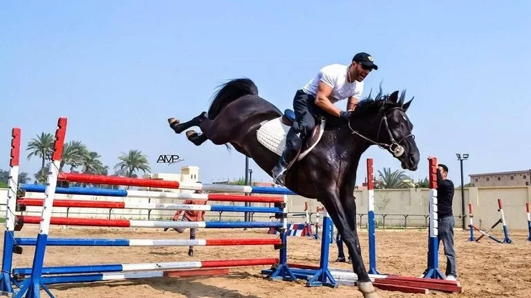 مدار الساعة,Video,فيديو,أخبار ثقافية