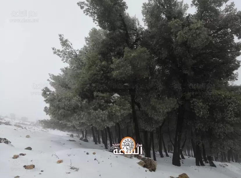 مدار الساعة,أخبار الأردن,اخبار الاردن