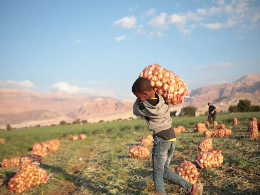 مدار الساعة,مناسبات أردنية