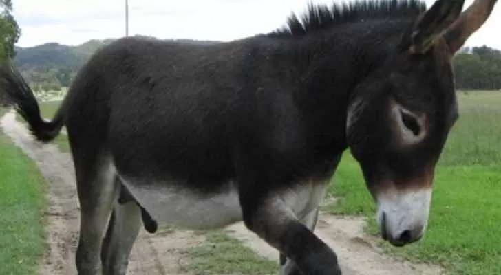 مدار الساعة,أخبار خفيفة ومنوعة