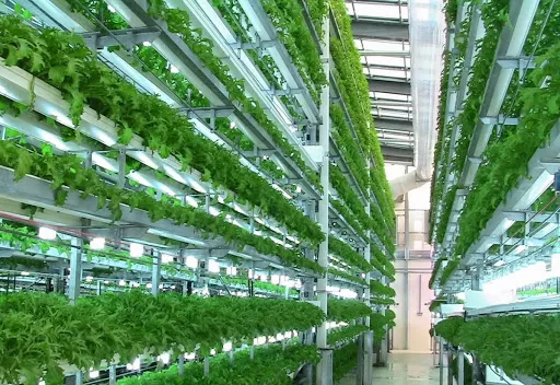 مدار الساعة,أخبار الأردن,اخبار الاردن,وزير البيئة,وزير التنمية الاجتماعية,التنمية الاجتماعية,وزارة البيئة