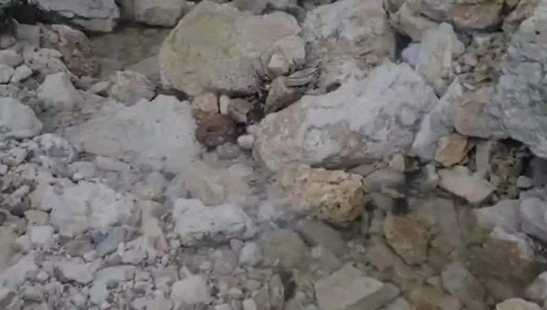 مدار الساعة,Video,فيديو,أخبار الأردن,اخبار الاردن