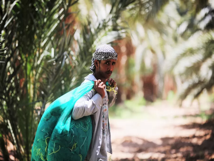مدار الساعة,أخبار مجلس النواب الأردني,وزير العمل,الملك عبدالله الثاني,المؤسسة العامة للضمان الاجتماعي,مجلس النواب,الضمان الاجتماعي