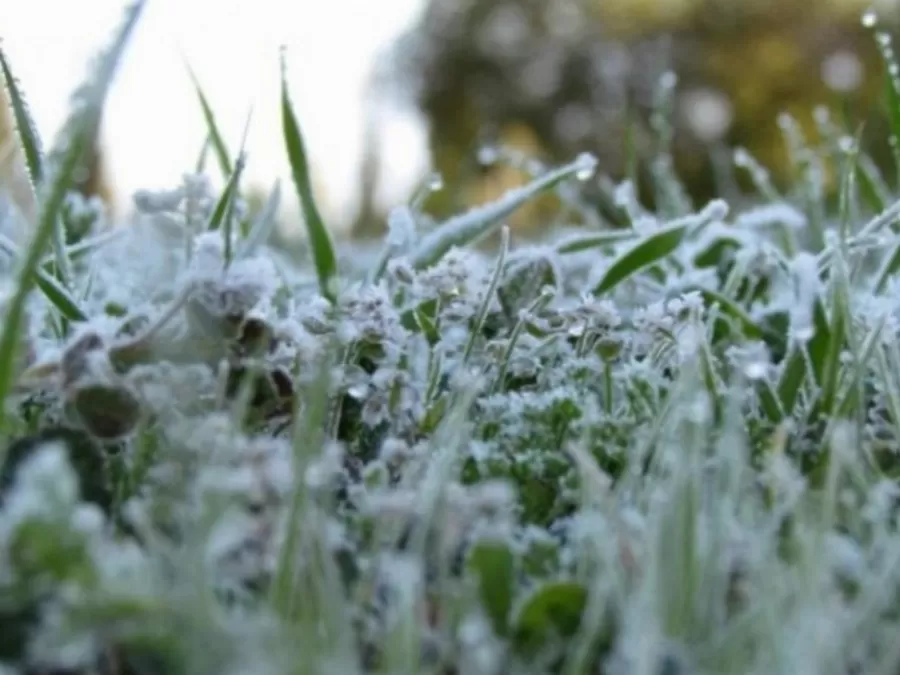 مدار الساعة,أخبار اقتصادية,وزارة الزراعة