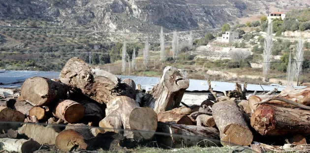 مدار الساعة,أخبار الأردن,اخبار الاردن,وزارة الزراعة
