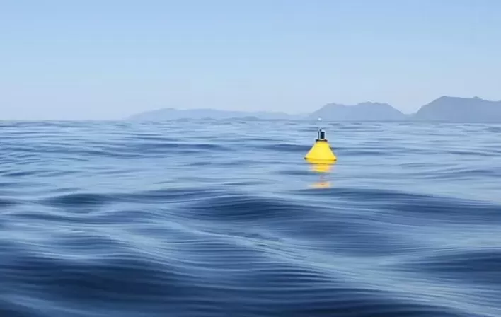 مدار الساعة,أخبار خفيفة ومنوعة
