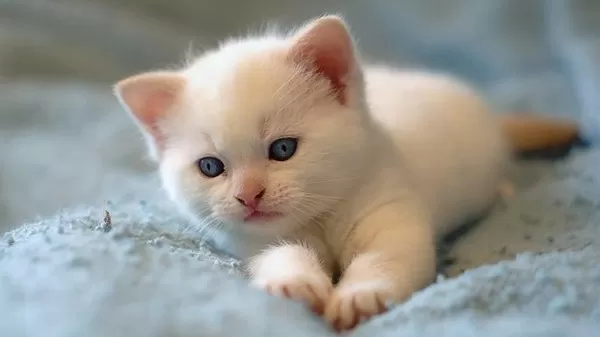 مدار الساعة,أخبار المجتمع الأردني,جامعة العلوم والتكنولوجيا