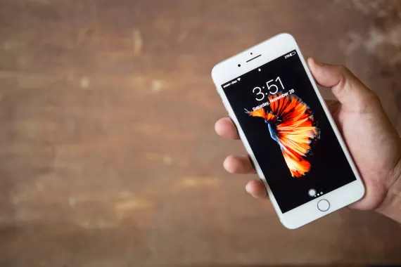 مدار الساعة,أخبار خفيفة ومنوعة,إدارة المشتريات