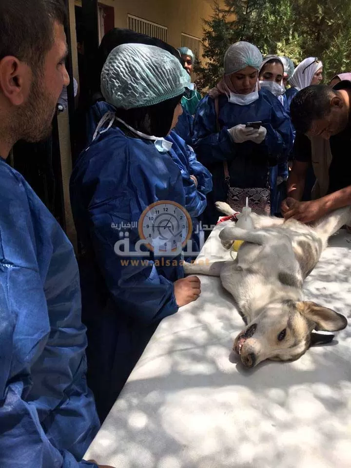 مدار الساعة,أخبار الأردن,اخبار الاردن,جامعة العلوم والتكنولوجيا