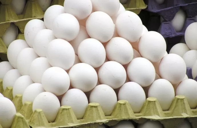 مدار الساعة,أخبار الأردن,اخبار الاردن,المؤسسة العامة للغذاء والدواء