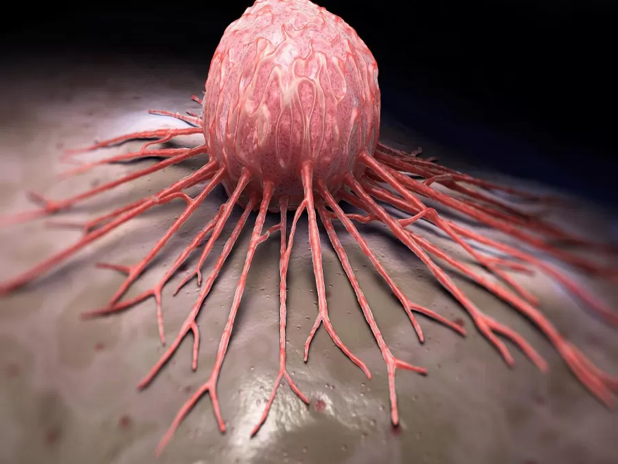 مدار الساعة,أخبار خفيفة ومنوعة