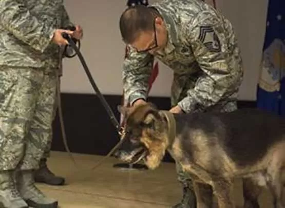 مدار الساعة,أخبار خفيفة ومنوعة