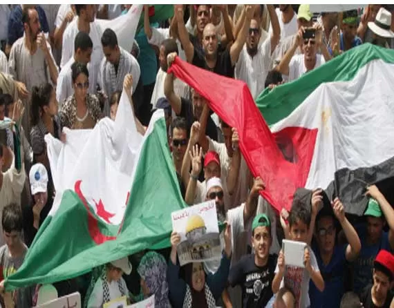 مدار الساعة,أخبار عربية ودولية,حركة حماس