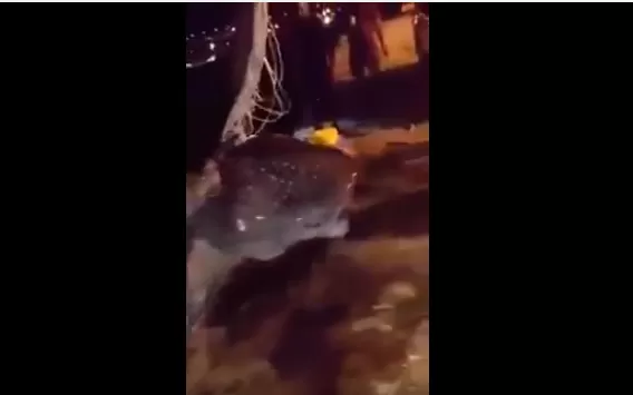 مدار الساعة,Video,فيديو,أخبار الأردن,اخبار الاردن,مواقع التواصل الاجتماعي