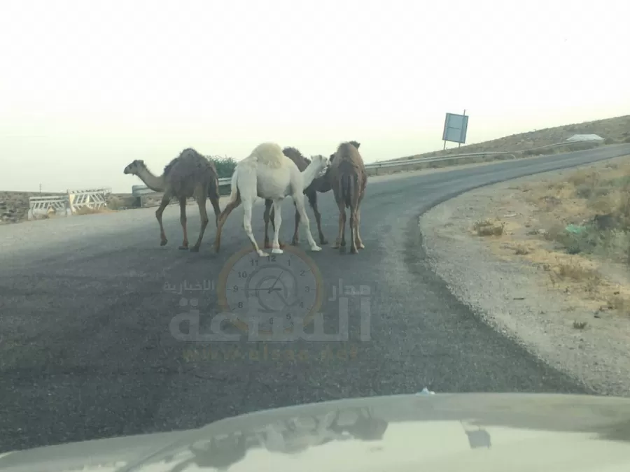 مدار الساعة,أسرار أردنية,الدفاع المدني