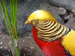 مدار الساعة,أخبار خفيفة ومنوعة,وسائل التواصل الاجتماعي