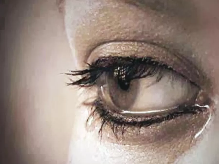 مدار الساعة,أخبار خفيفة ومنوعة,الجامعة الأردنية,جامعة البلقاء التطبيقية