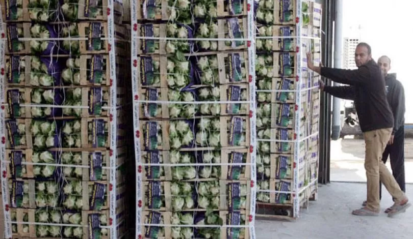 مدار الساعة,أخبار اقتصادية,وزير الزراعة