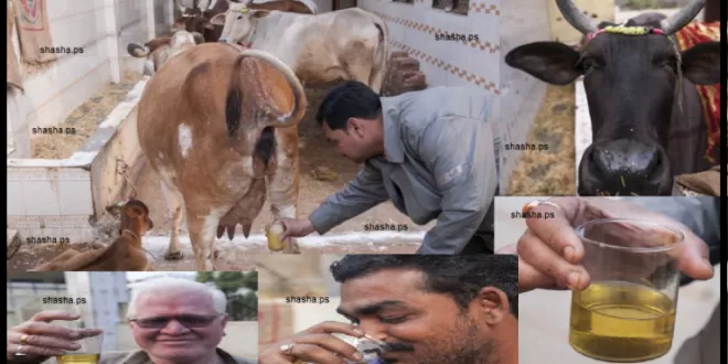 مدار الساعة,Video,فيديو,أخبار خفيفة ومنوعة,مواقع التواصل الاجتماعي