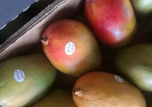 مدار الساعة,أخبار الأردن,اخبار الاردن
