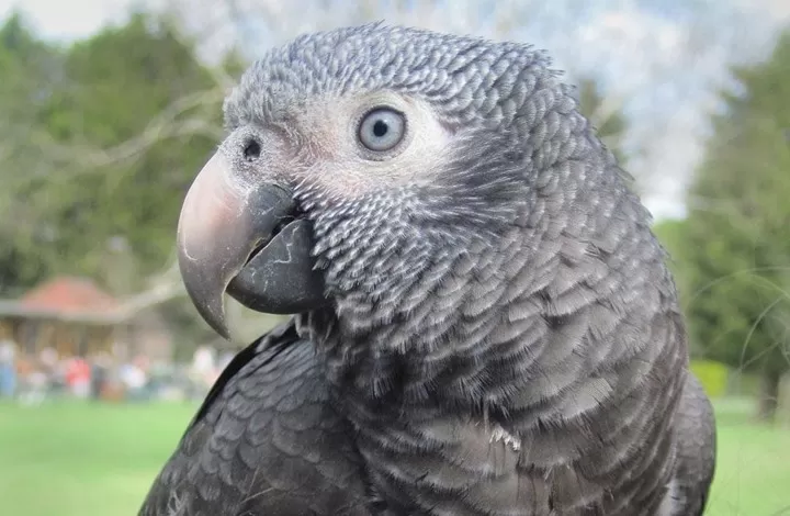 مدار الساعة,أخبار خفيفة ومنوعة