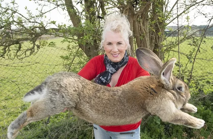 مدار الساعة,أخبار خفيفة ومنوعة