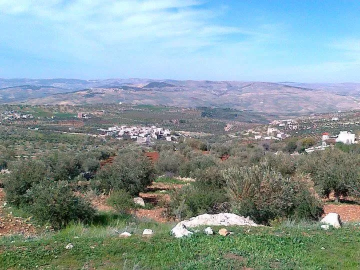 مدار الساعة,مقالات