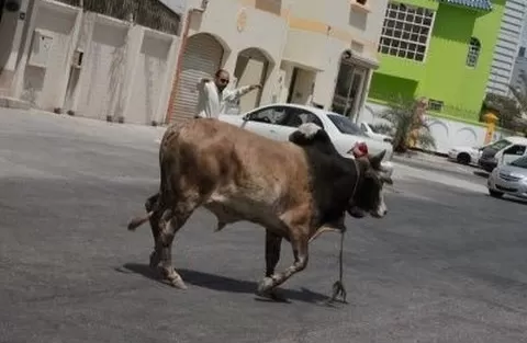 مدار الساعة,أسرار أردنية