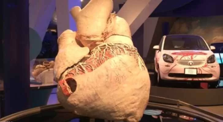 مدار الساعة,Video,فيديو,أخبار خفيفة ومنوعة