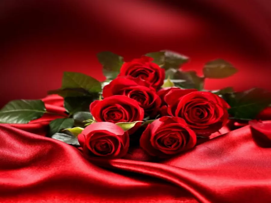 مدار الساعة,أخبار المجتمع الأردني