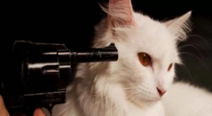 مدار الساعة,أخبار خفيفة ومنوعة